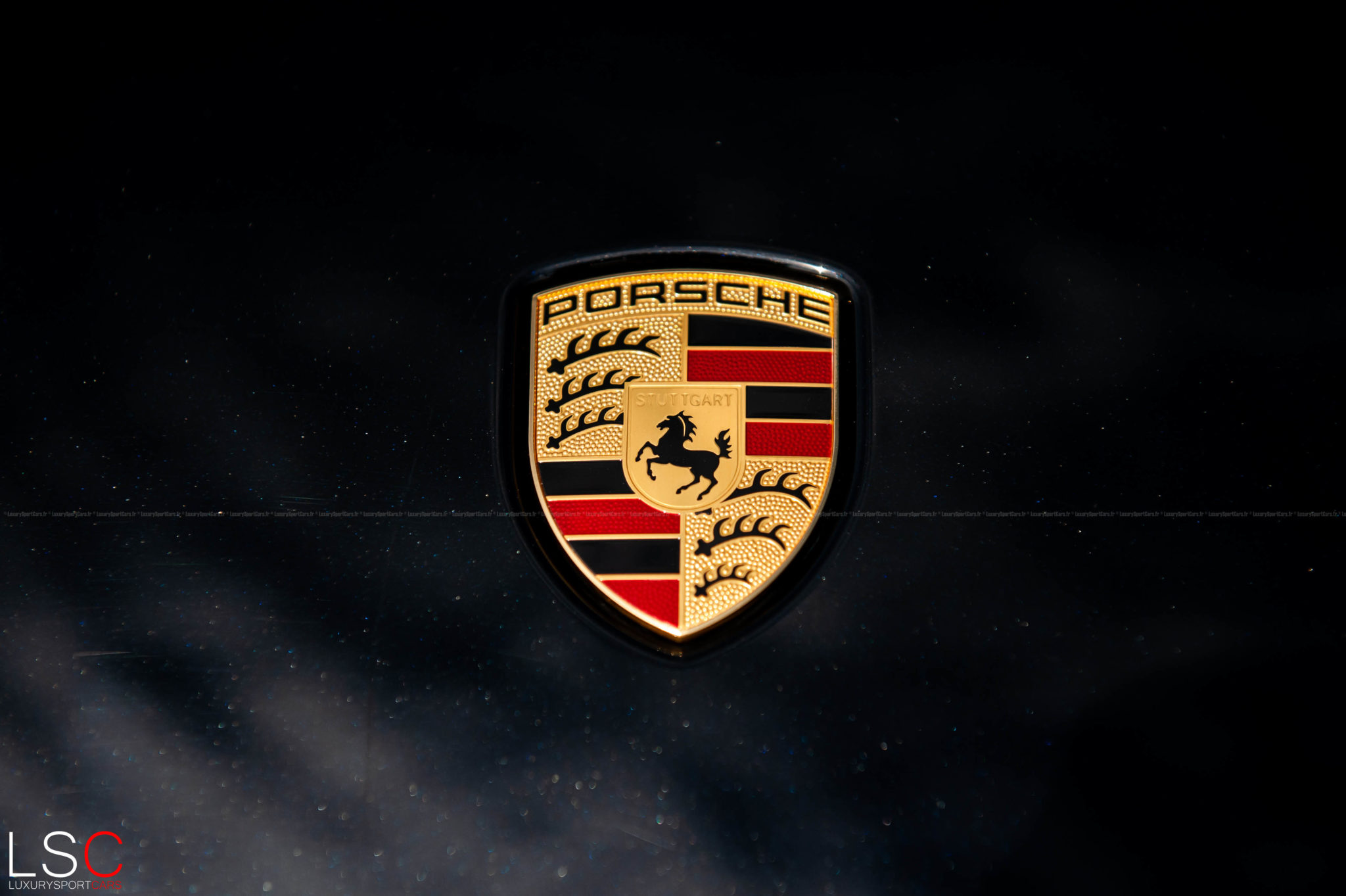 Logo Porsche Taycan