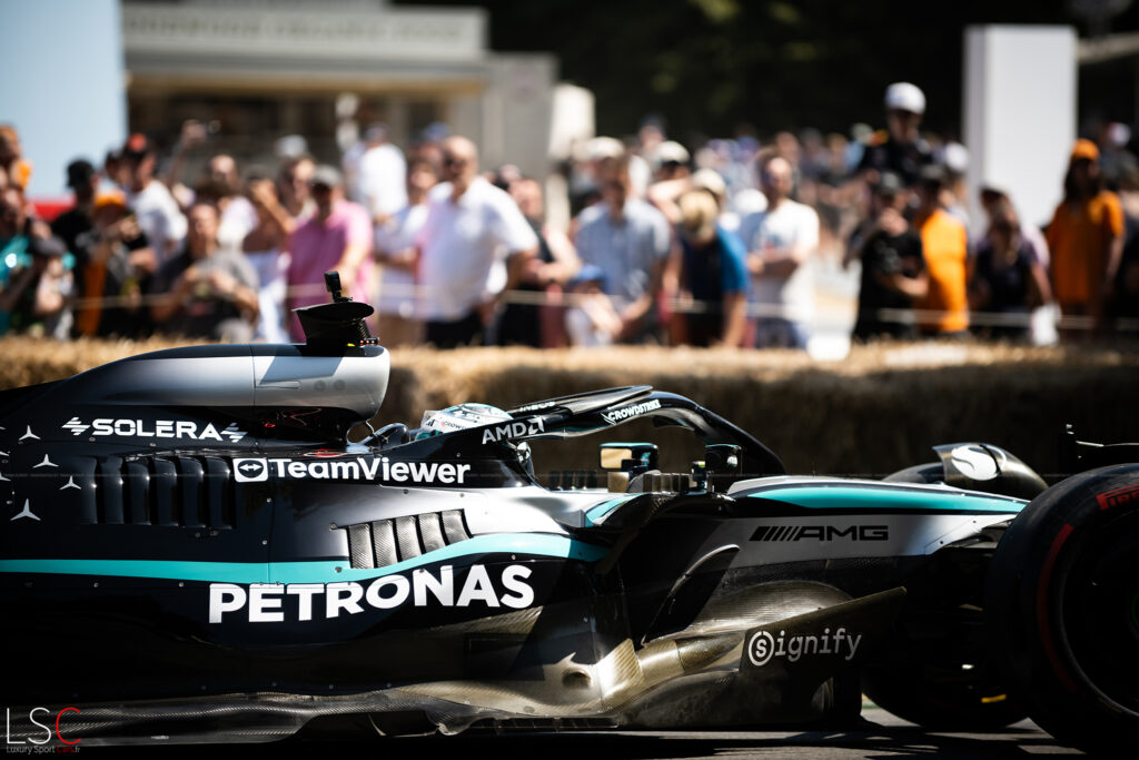 Mercedes Petronas at Goodwood par Thomas FLAMANT - LuxurySportCars.fr